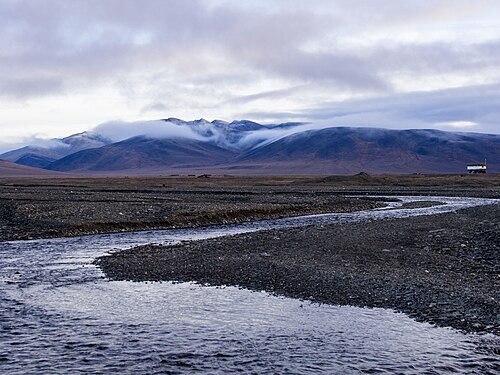 Wrangel Island
